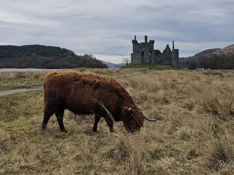 From Edinburgh: West Highlands Luxury Private Day Tour - FAQs
