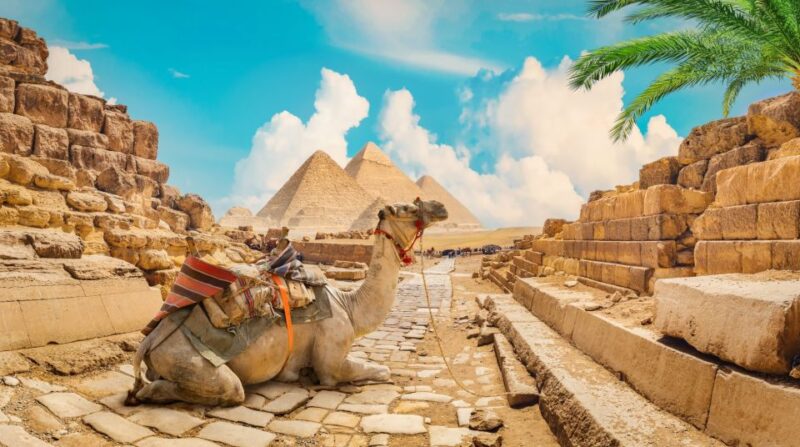 From El Gouna: Cairo and Giza Highlights Day Trip With Lunch - Customer Reviews and Ratings