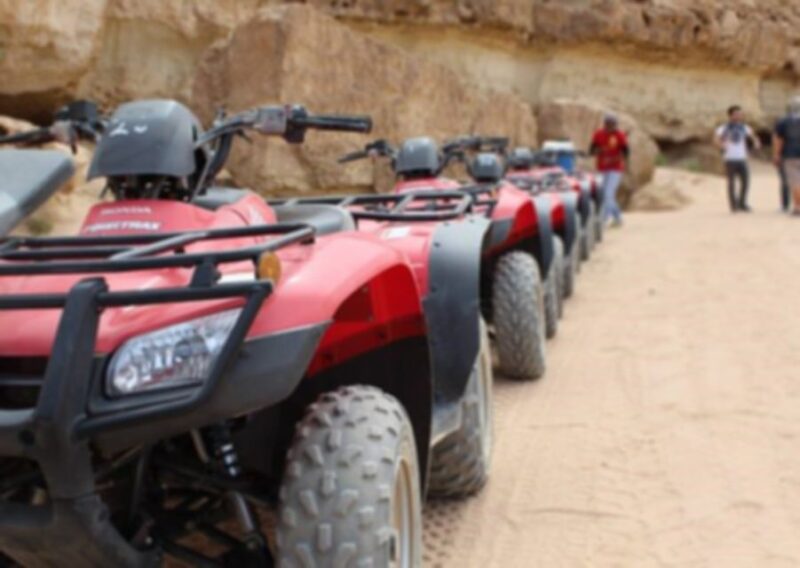 From El Gouna: Dry Canyon Quad Bike Morning Tour - Experience Highlights