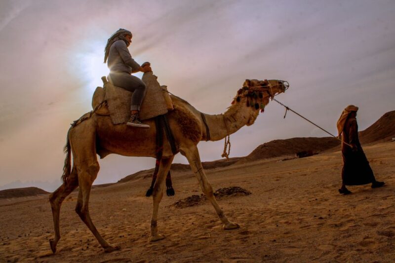 From El Gouna: Dry Canyon Quad Bike Morning Tour - Important Information