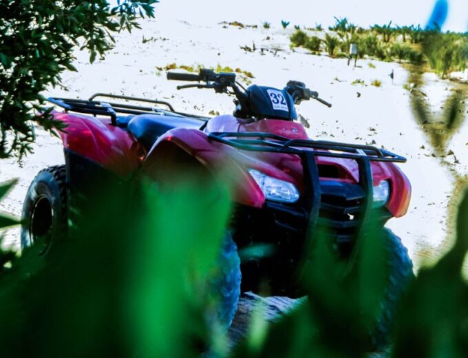 From El Gouna: Dry Canyon Quad Bike Morning Tour - Customer Reviews