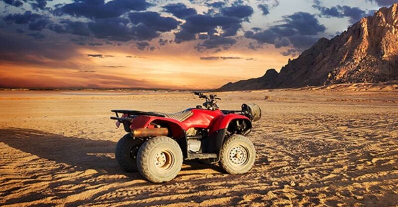 From EL Gouna: Quad Safari, Bedouin Village, & Camel Ride - Experience Highlights