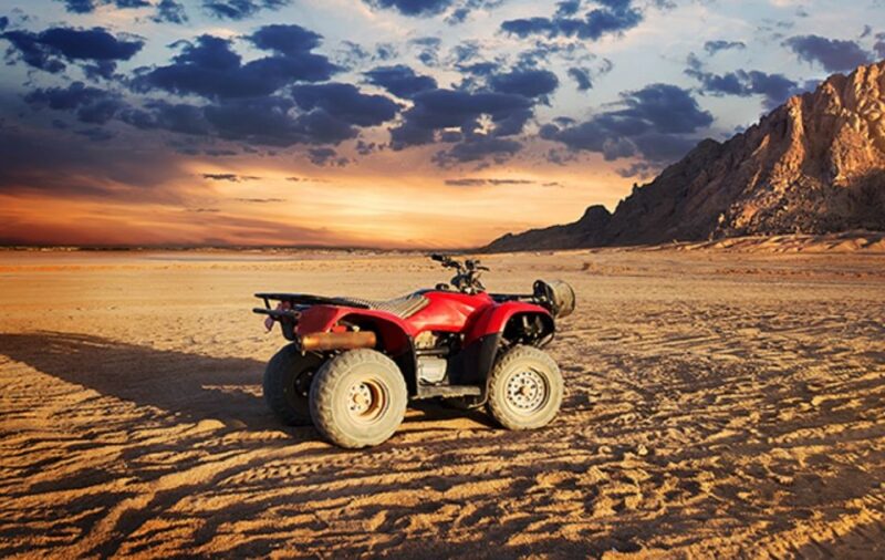 From EL Gouna: Quad Safari, Bedouin Village, & Camel Ride - Good To Know