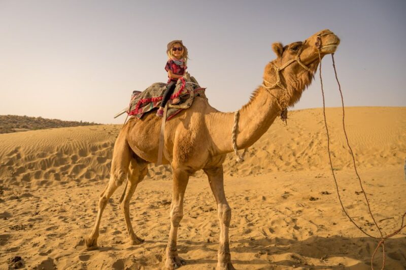 From EL Gouna: Quad Safari, Bedouin Village, & Camel Ride - Duration and Pricing Details