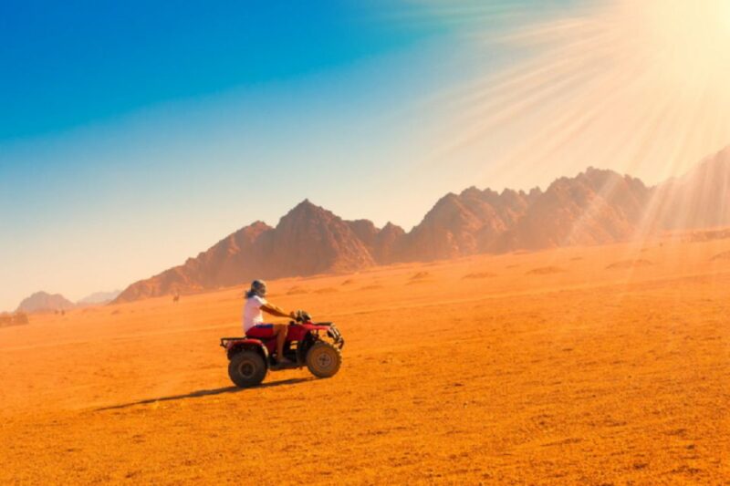 From EL Gouna: Quad Safari, Bedouin Village, & Camel Ride - Detailed Itinerary Breakdown