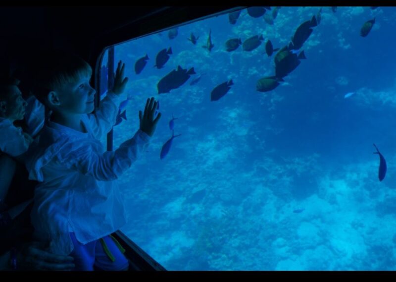 From El Gouna: Royal Seascope Submarine With Snorkel Stop - Inclusions and Pricing Details