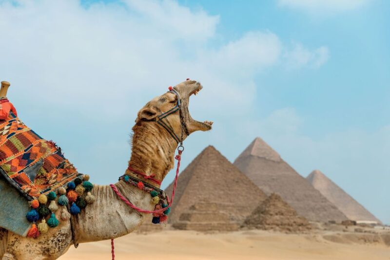 From El Sokhna Port : Day Tour to Pyramids and Lunch Cruise - Pyramids and Sphinx Visit