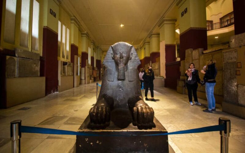 From El Sokhna Port: National Museum & Egyptian Museum Tour - Inclusions and Amenities