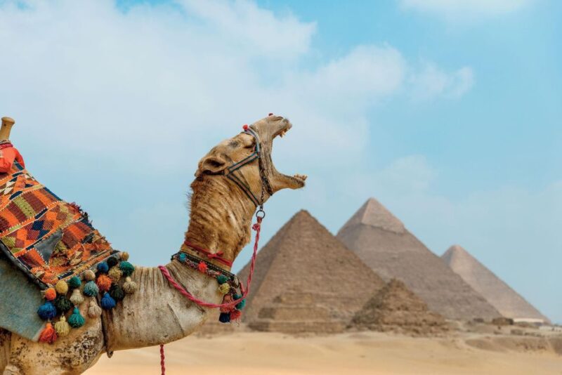 From El Sokhna Port: Tour to Pyramids, Citadel & Bazaar - Good To Know