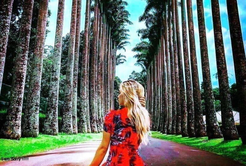 From Ella: 2-Day Tour to Nuwara Eliya and Kandy with Drop - The Sum Up