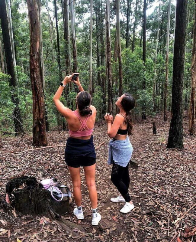 From Ella- All Inclusive Day Trip to Experience Ella & Train - What’s included and what’s not