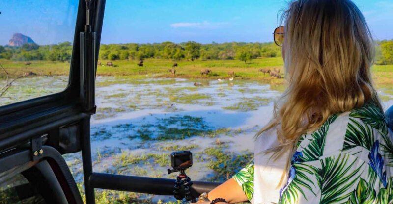 From ELLA: Drop off AHUNGALLA/BENTOTA & YALA Safari Tour - Transportation and Logistics