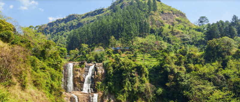From Ella: Nuwara Eliya Tea Factory and Plantation Tour - Key Points