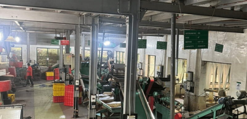 From Ella: Nuwara Eliya Tea Factory and Plantation Tour - A Detailed Look at the Tour Experience