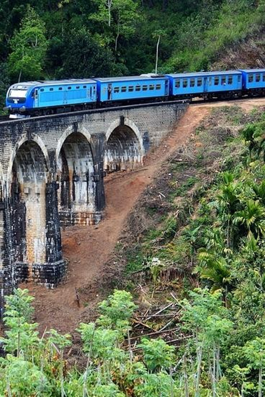 From Ella: Odyssey First Class Scenic Train Ticket to Kandy - First-Class Seating