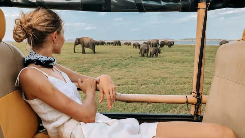 From ELLA to ARUGAM-BAY Transfer With YALA Safari Tour - Itinerary Details