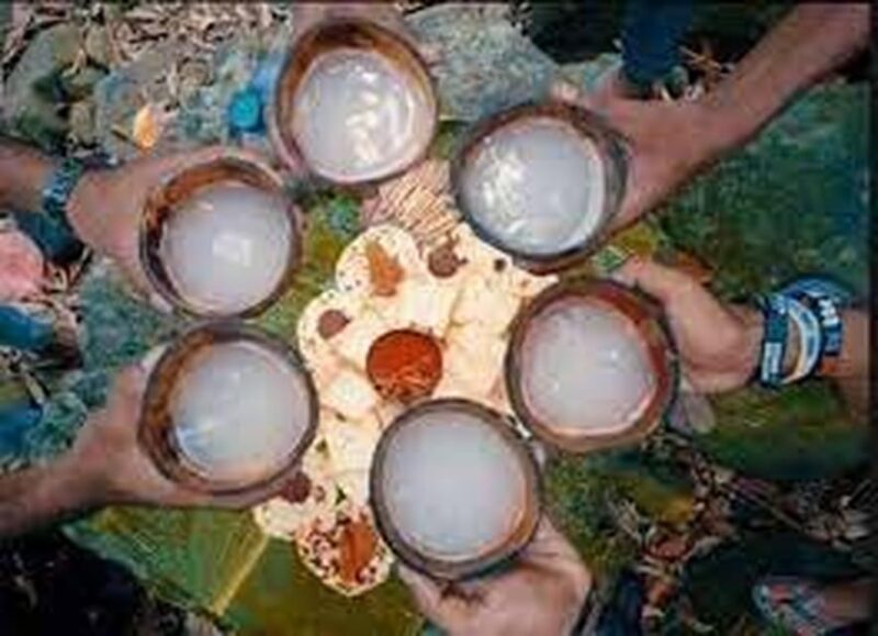 From Ella : Toddy (Kithul Raa) Experience in Ellas Village - Authentic Cultural Immersion