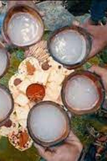 From Ella : Toddy (Kithul Raa) Experience in Ellas Village - Toddy Processing and Tasting