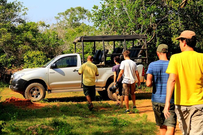 From Ella: Transfer to Mirissa/Unawatuna/Galle & Yala/Udawalawe Safari Day Trip - Guest Reviews and Feedback