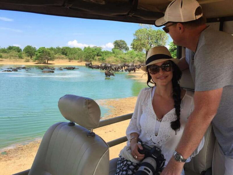 From Ella: Udawalawa Safari and Tangalle/Hiriketiya Transfer - An In-Depth Look at the Tour