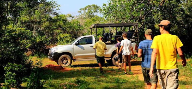From Ella: Udawalawa Safari and Tangalle/Hiriketiya Transfer - The Sum Up: Who Is This Tour Best For?