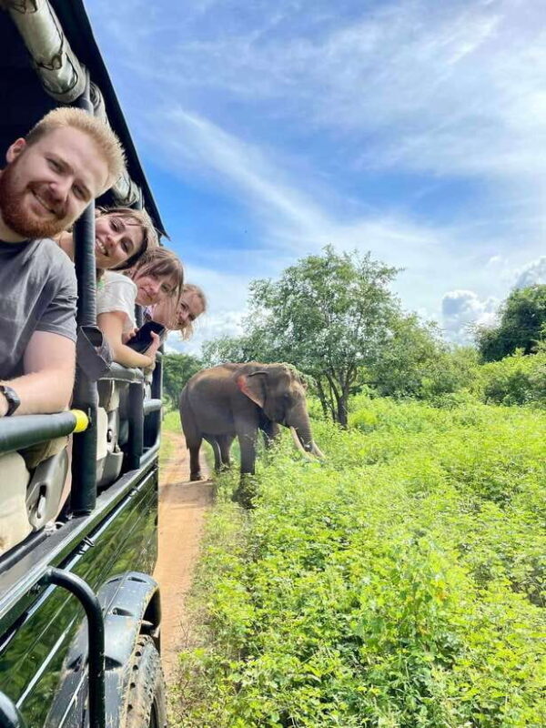 From Ella : Udawalawa Safari & Drop Tangalle/ Mirissa/ Galle - A Detailed Look at the Udawalawa Safari & Coastal Drop Tour