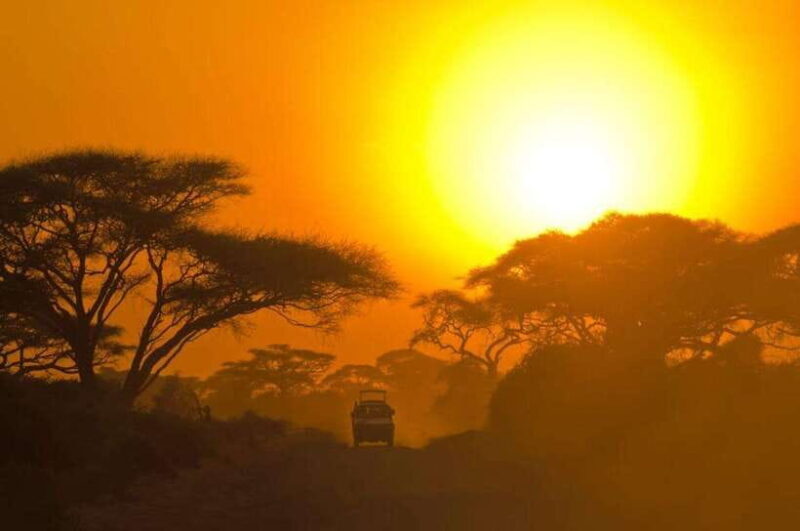 From Ella: Yala National Park Safari and Drop in Ella - A Deep Dive into the Tour Experience
