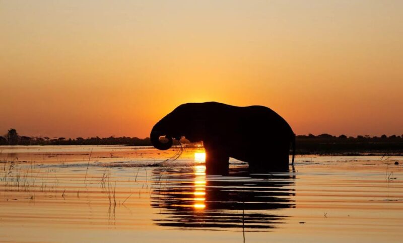 From Ella: Yala National Park Thrilling 4x4 Safari Adventure - Good To Know