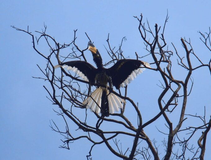 From Ella: Yala National Park Thrilling 4x4 Safari Adventure - Cancellation and Refund Policy