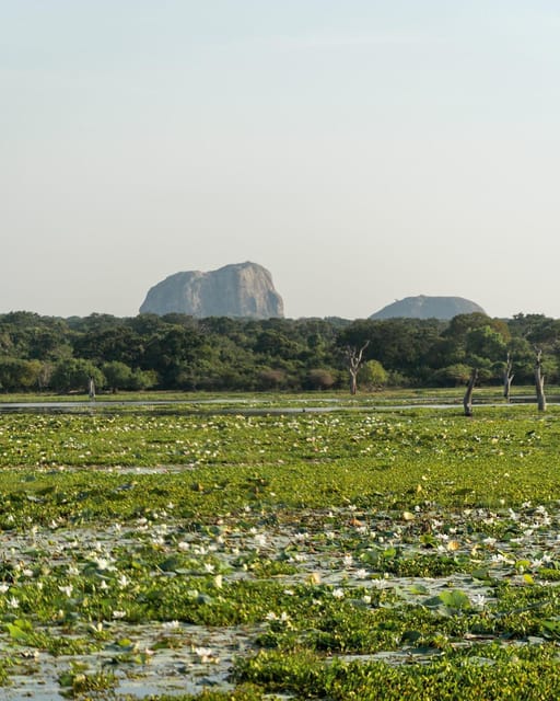From Ella - Yala Safari - Drop-off : Galle/Mirissa/Hikkaduwa - Frequently Asked Questions