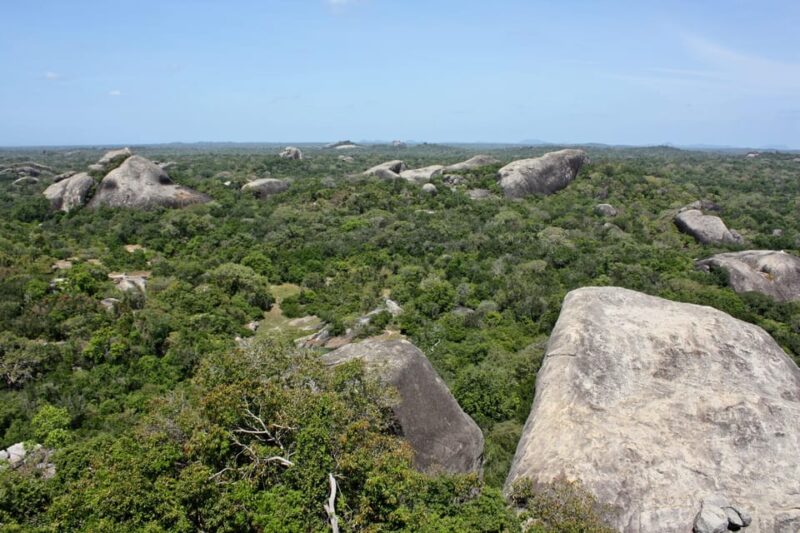 From Ella:Ravana Falls / Diyaluma Falls / Yala National Park - Good To Know