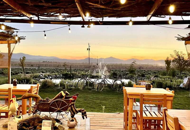 From Ensenada: Ojos Negros Valley Cheese & Wine Tasting Tour - Discovering Baja’s Hidden Charms: An In-Depth Look