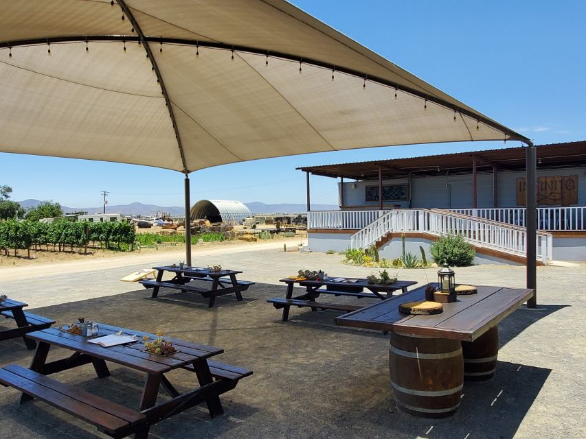 From Ensenada: Ojos Negros Valley Cheese & Wine Tasting Tour - Lunch and Dining Experiences