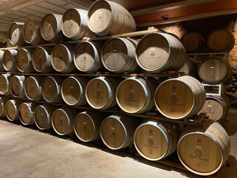 From Ensenada: Wine Tour at Guadalupe Valley Ensenada - An In-Depth Look at the Guadalupe Valley Tour