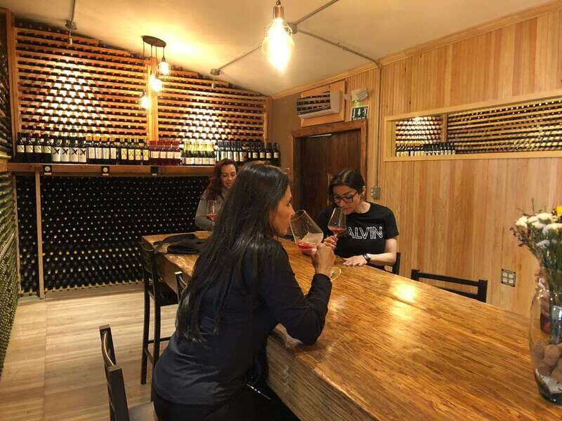 From Ensenada: Wine Tour at Guadalupe Valley Ensenada - Final Thoughts