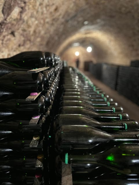 From Epernay : Bubble Champagne Tour 6 Tastings - Accessibility and Weather Policy