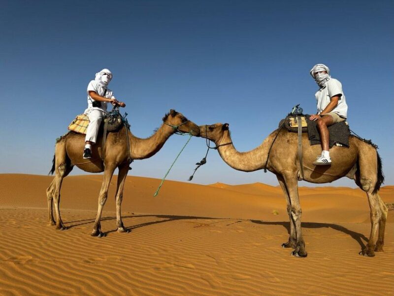 From Errachidia: One Way Transfert to Merzouga Desert-Erfoud - Good To Know