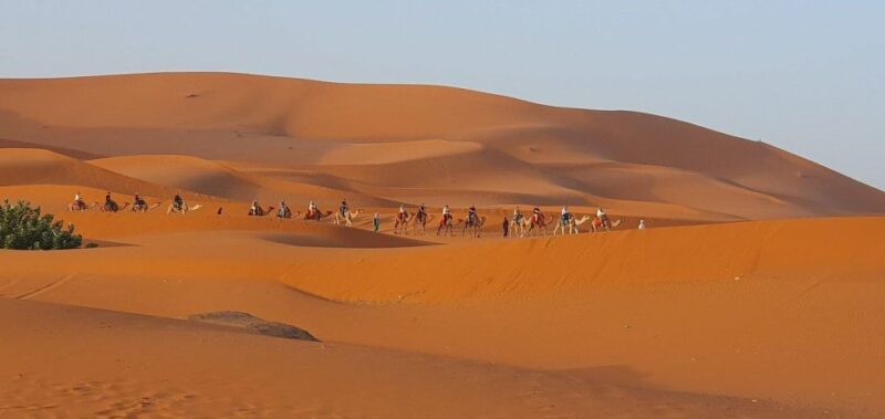 From Errachidia: One Way Transfert to Merzouga Desert-Erfoud - Personalized Experience Details