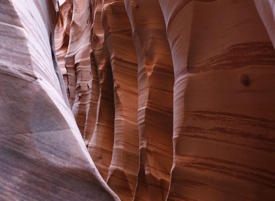 From Escalante: Zebra Slot Canyon Guided Tour and Hike - Inclusions and Exclusions