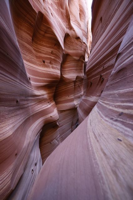 From Escalante: Zebra Slot Canyon Guided Tour and Hike - Recap