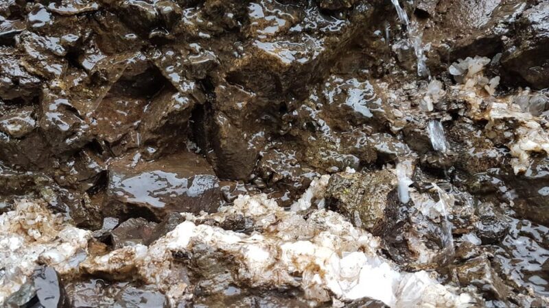 From Eskifjörður: Vöðlavík Black Beach Private Tour - Final Words