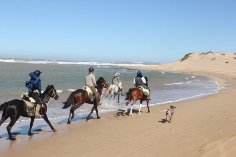 From Essaouira: 1-Hour Horse Ride With Sunset - Good To Know