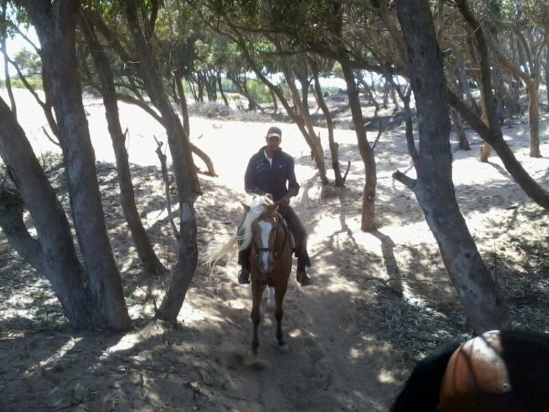 From Essaouira: 1-Hour Horse Ride With Sunset - Riding Skill Levels Accommodated