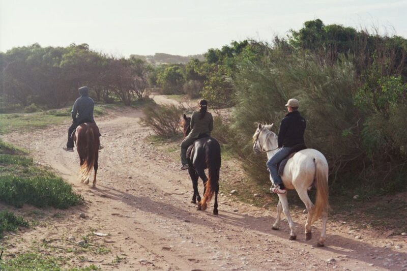 From Essaouira: 1-Hour Horse Ride With Sunset - Drinks and Snacks Provided