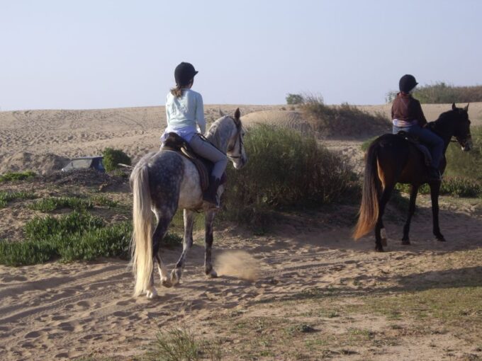 From Essaouira: 1-Hour Horse Ride With Sunset - Frequently Asked Questions
