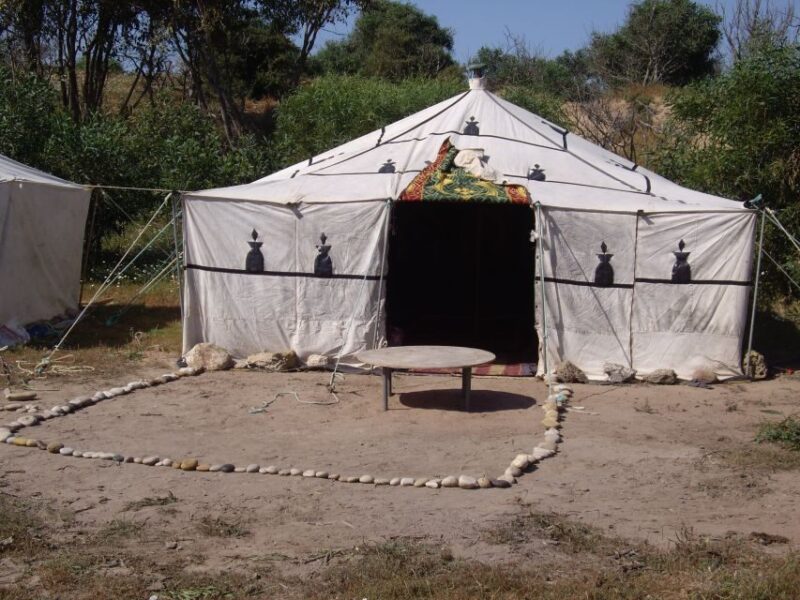 t4128357