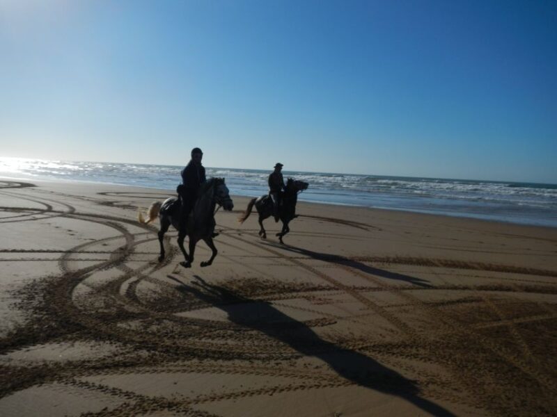 From Essaouira: 2h Horseback Ride With Sunset - Good To Know