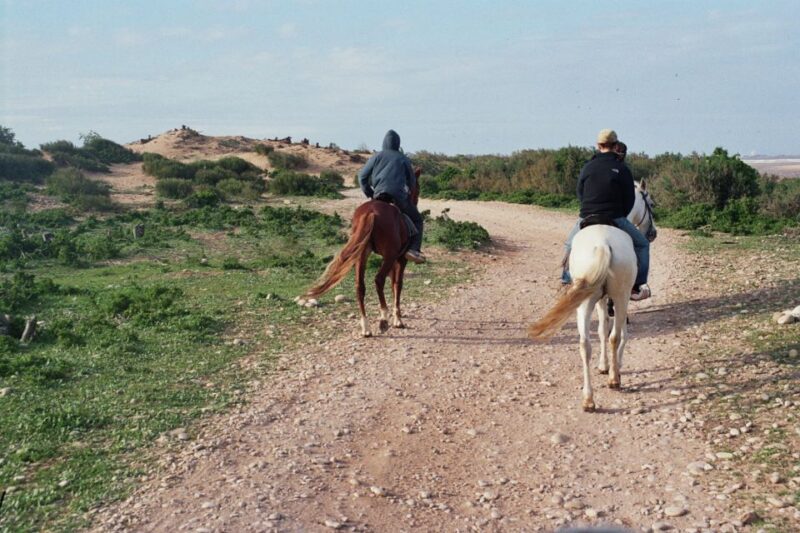 From Essaouira: 2h Horseback Ride With Sunset - Experience Details