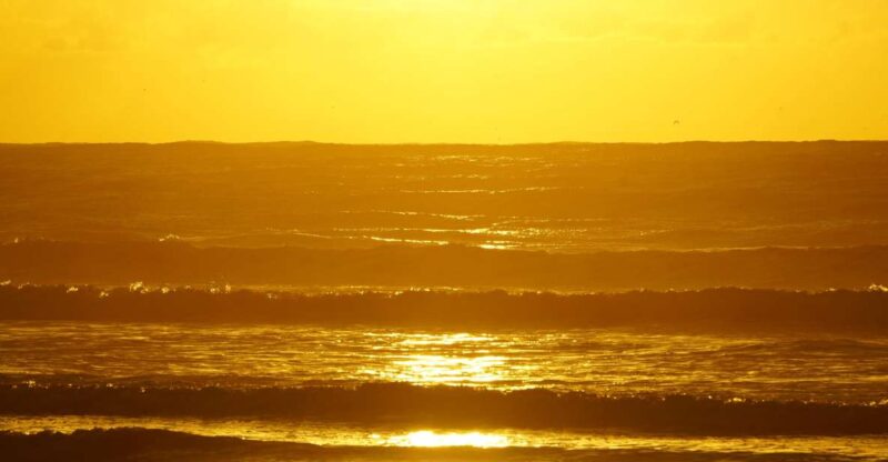 From Essaouira: 2h Horseback Ride With Sunset - Ride Highlights