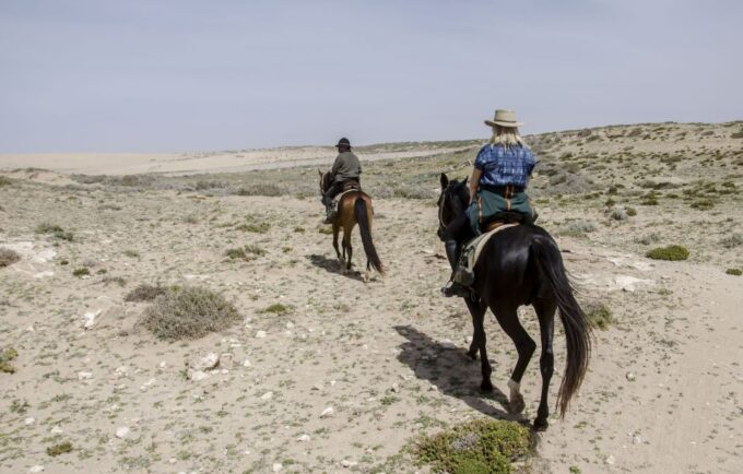 From Essaouira: 2h Horseback Ride With Sunset - Frequently Asked Questions
